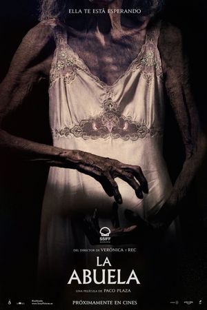 The Grandmother's poster