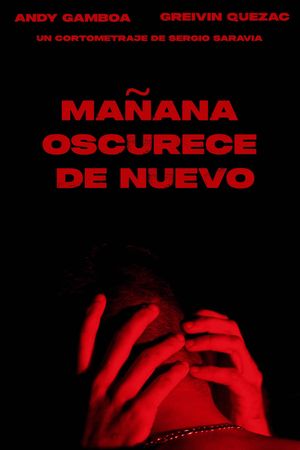 Mañana oscurece de nuevo's poster image