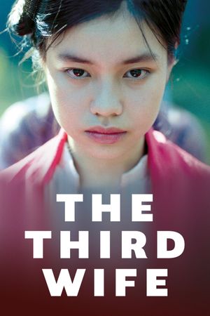 The Third Wife's poster