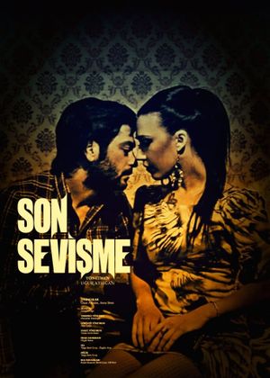 Son Sevişme's poster