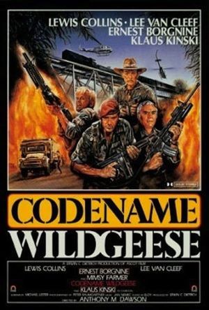 Code Name: Wild Geese's poster