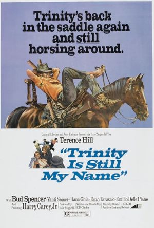 Trinity Is Still My Name's poster