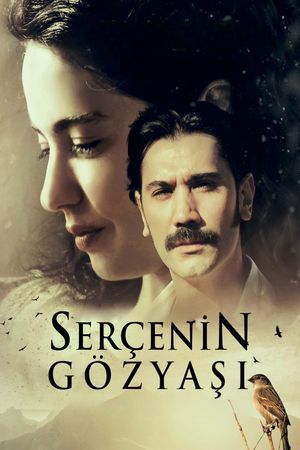 Serçenin Gözyasi's poster