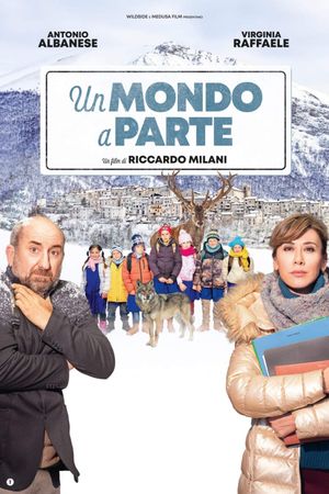Un mondo a parte's poster
