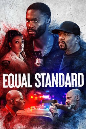 Equal Standard's poster