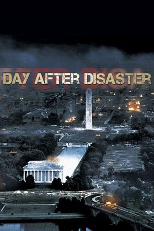 Day After Disaster's poster