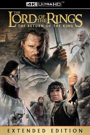 The Lord of the Rings: The Return of the King's poster