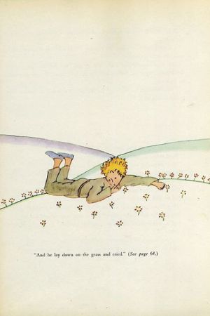 The Little Prince's poster