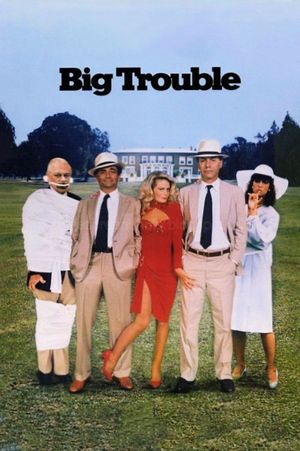Big Trouble's poster