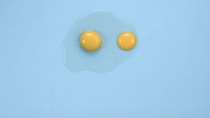 The Substance's poster