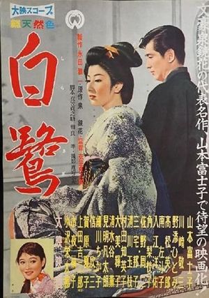 Shirasagi's poster