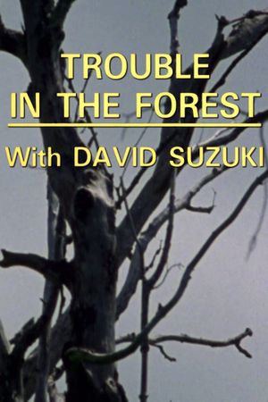 Trouble in the Forest's poster