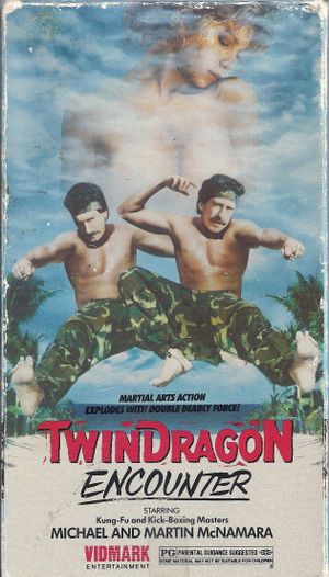 Twin Dragon Encounter's poster