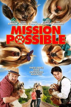 Mission Possible's poster