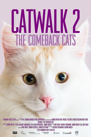 Catwalk 2: The Comeback Cats's poster