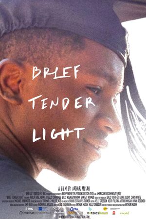 Brief Tender Light's poster