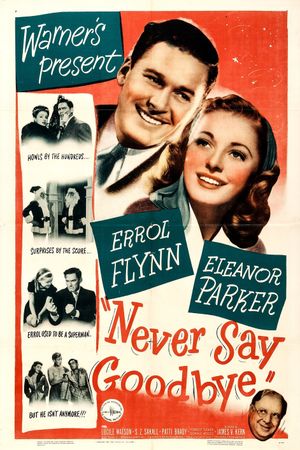 Never Say Goodbye's poster image