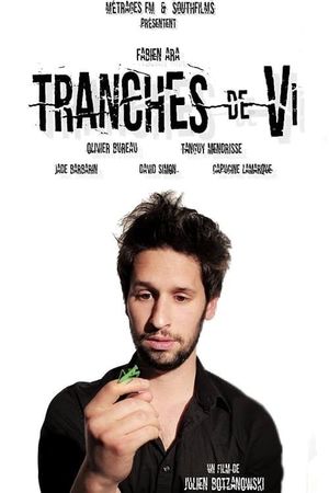 Slices of Vi's poster
