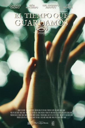 El tiempo que guardamos's poster