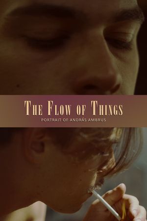 The Flow of Things's poster