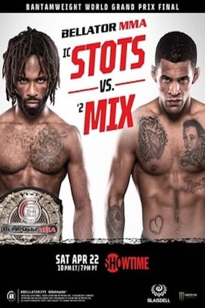 Bellator 295: Stots vs. Mix's poster