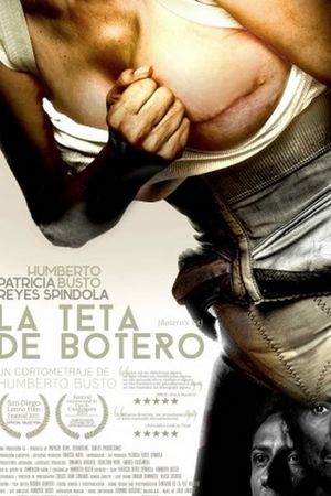 La teta de Botero's poster
