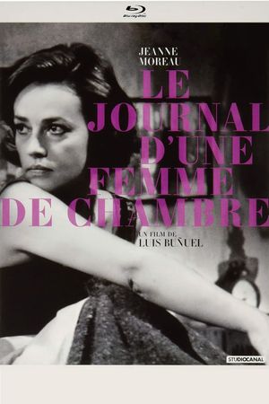 Diary of a Chambermaid's poster