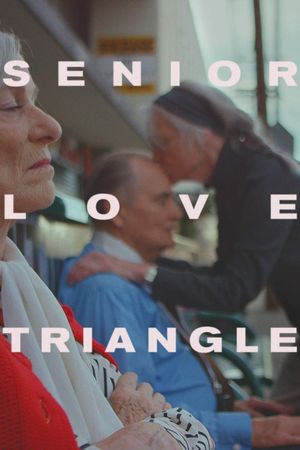 Senior Love Triangle's poster