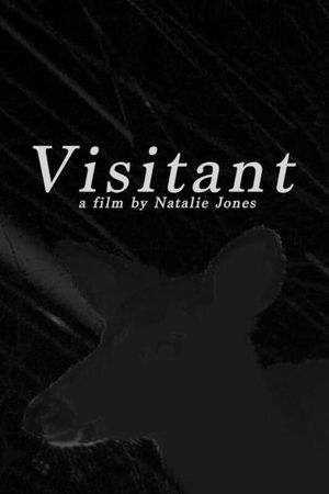 Visitant's poster