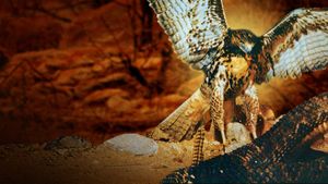 The Living Desert's poster