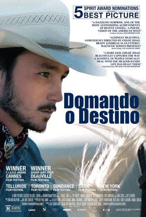 The Rider's poster