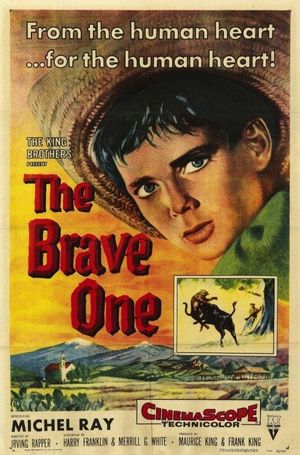The Brave One's poster
