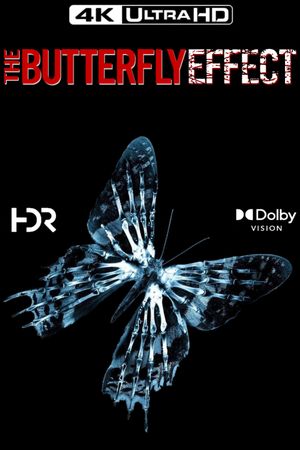 The Butterfly Effect's poster