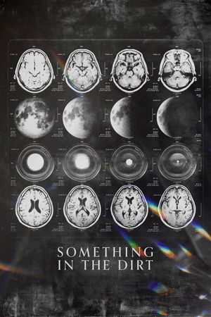 Something in the Dirt's poster