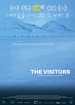 The Visitors's poster
