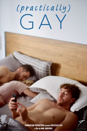 (PRACTICALLY) GAY's poster