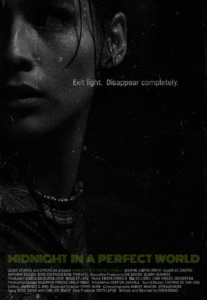 Midnight in a Perfect World's poster