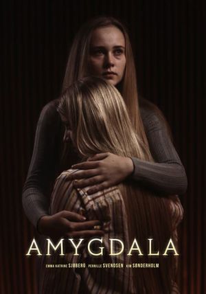 Amygdala's poster