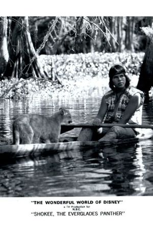 Shokee, the Everglades Panther's poster