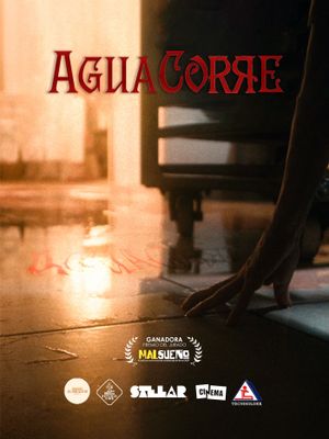 AGUA CORRE's poster