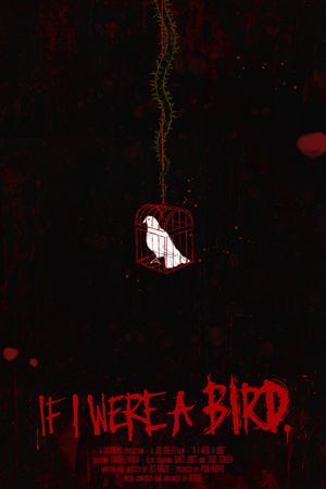 If I Were A Bird's poster