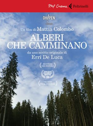 Alberi che camminano's poster