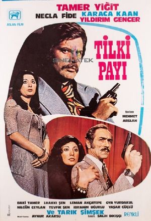 Tilki Payi's poster