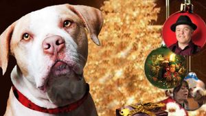 Hercules Saves Christmas's poster