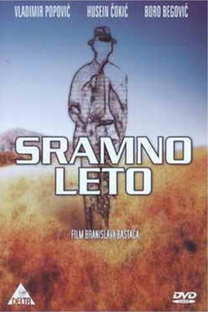 Sramno leto's poster