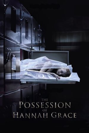 The Possession of Hannah Grace's poster