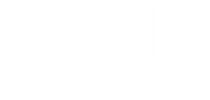 Ape Canyon's poster