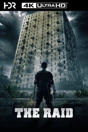 The Raid: Redemption's poster