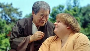 Beverly Hills Ninja's poster