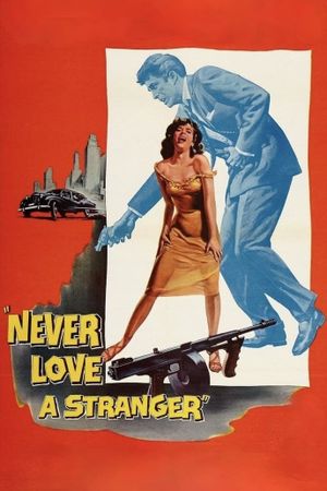 Never Love a Stranger's poster